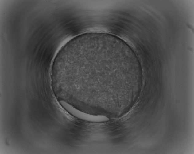 X0000097511248200803201608