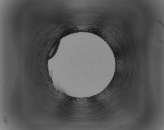 X0000097511249200803201607