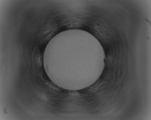 X0000097511250200803201607