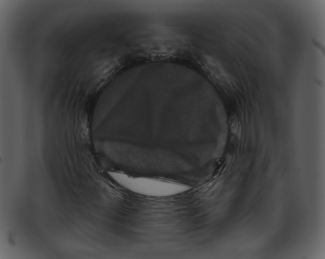 X0000097511252200803201607
