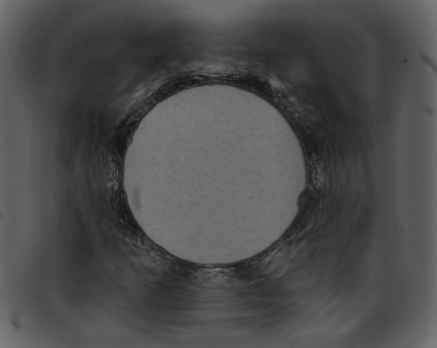 X0000097511253200803201607