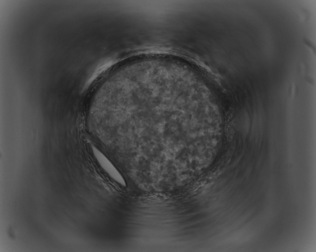 X0000097511255200803201607