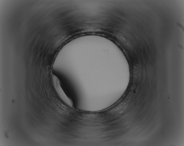 X0000097511257200803201607