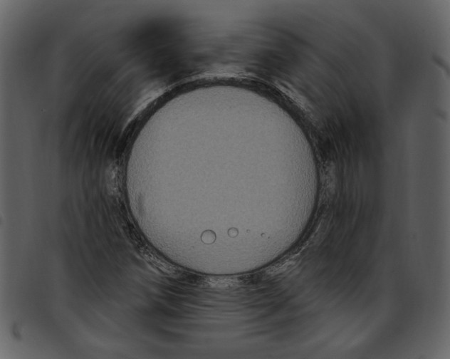 X0000097511258200803201607