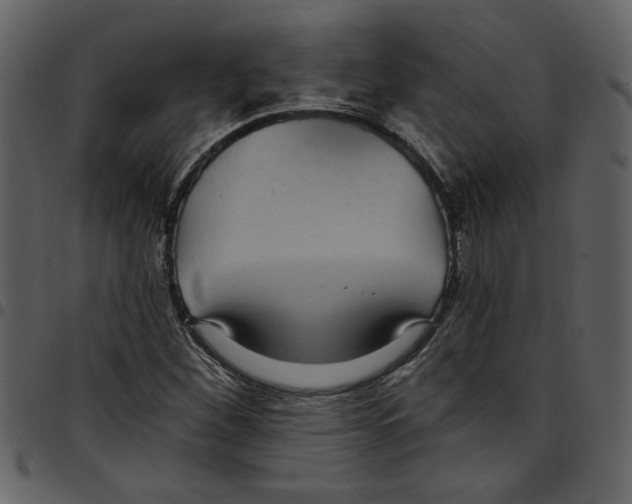 X0000097511260200803201607