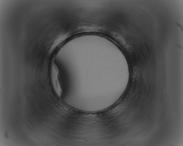 X0000097511261200803201607
