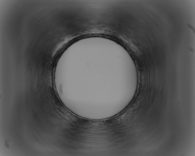 X0000097511262200803201607