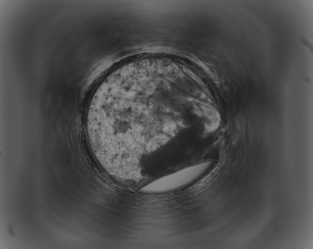 X0000097511263200803201607