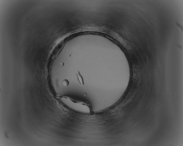 X0000097511264200803201607
