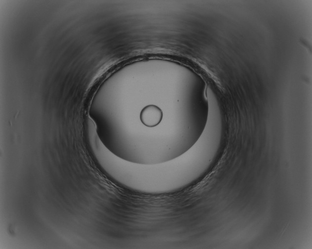 X0000097511266200803201607