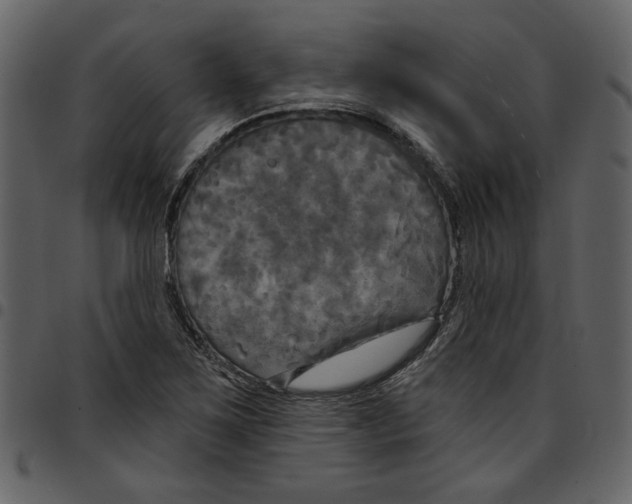 X0000097511267200803201607