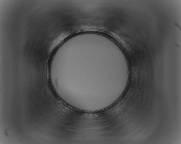 X0000097511269200803201607