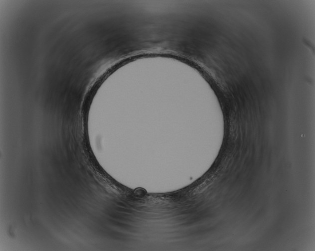 X0000097511270200803201607
