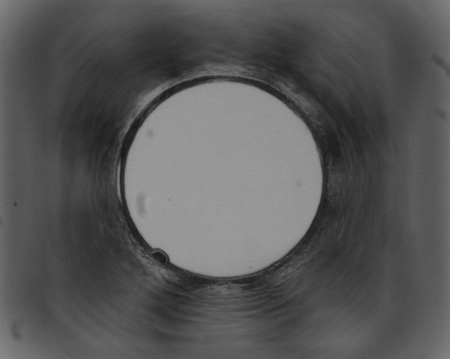 X0000097511272200803201607