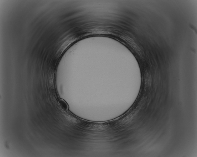 X0000097511273200803201607