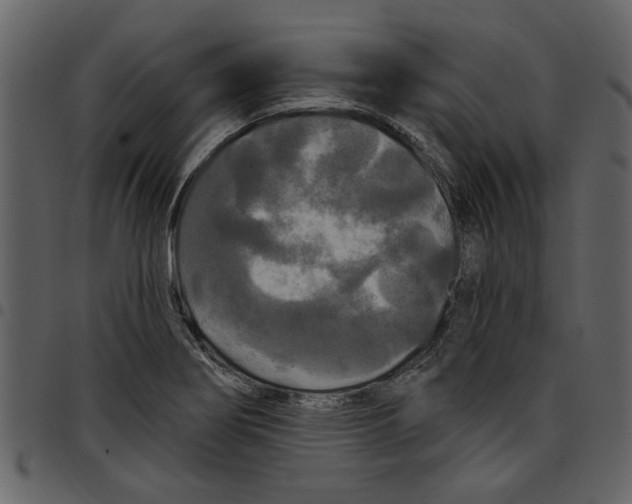 X0000097511274200803201607