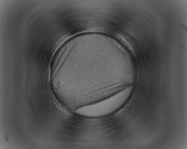 X0000097511276200803201607