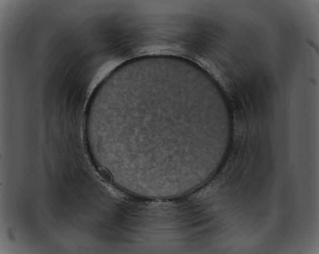X0000097511277200803201607