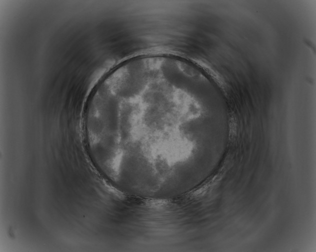 X0000097511278200803201607