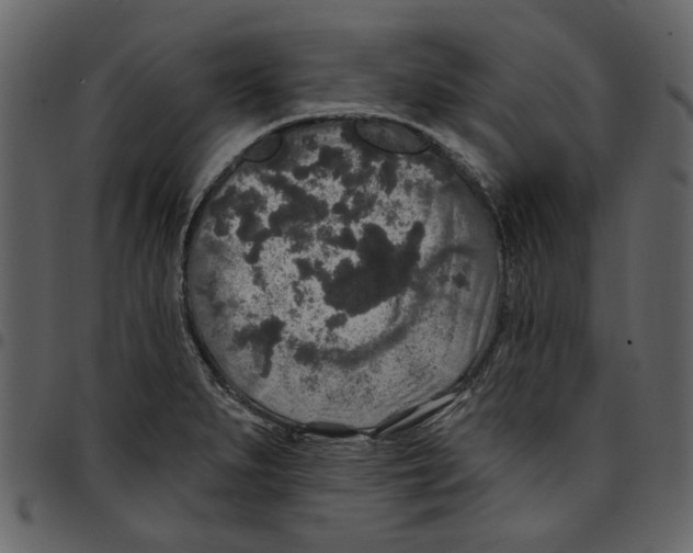 X0000097511279200803201607