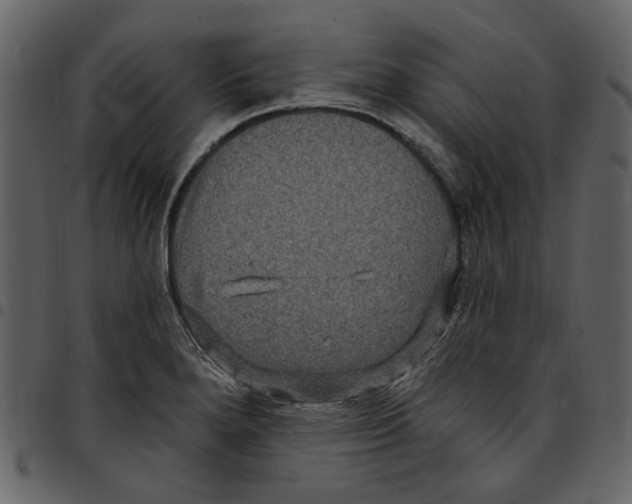 X0000097511280200803201607