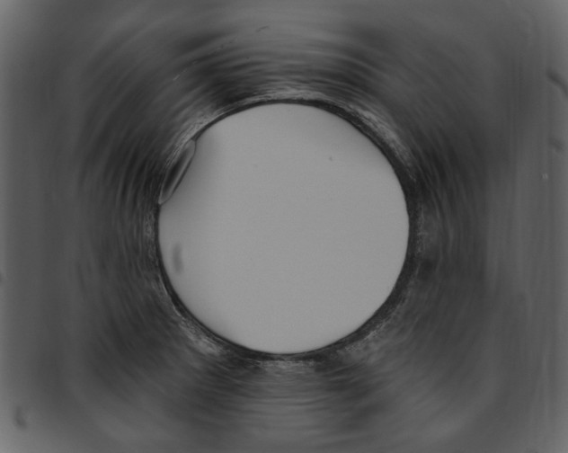 X0000097511281200803201607