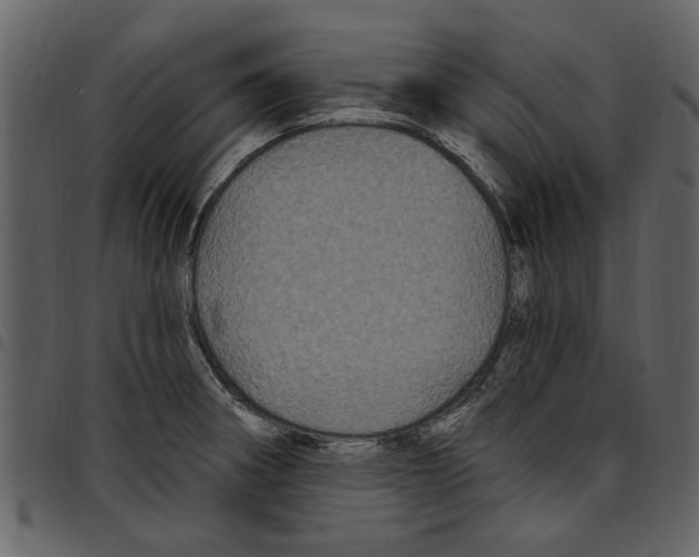 X0000097511282200803201607