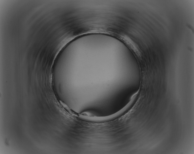 X0000097511284200803201607
