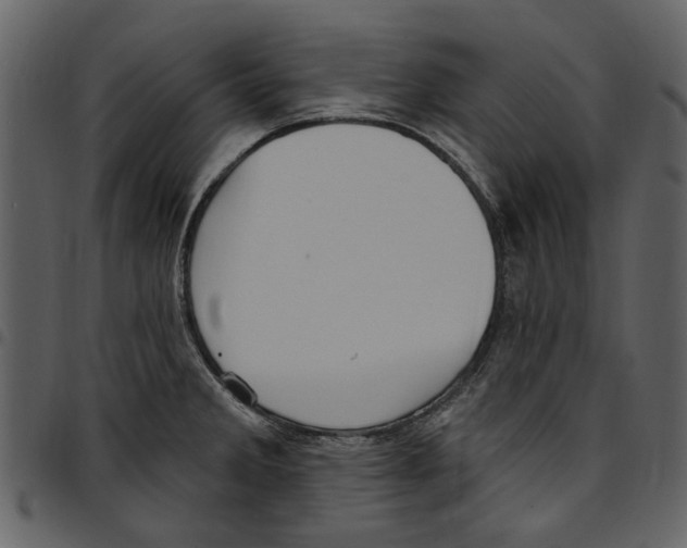 X0000097511285200803201607