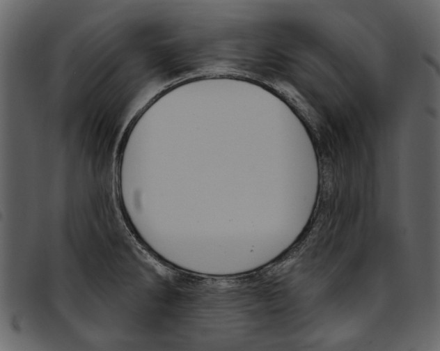 X0000097511286200803201607