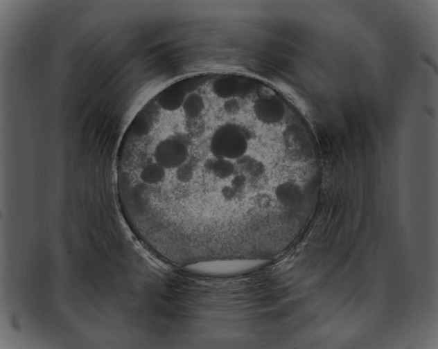 X0000097511287200803201607