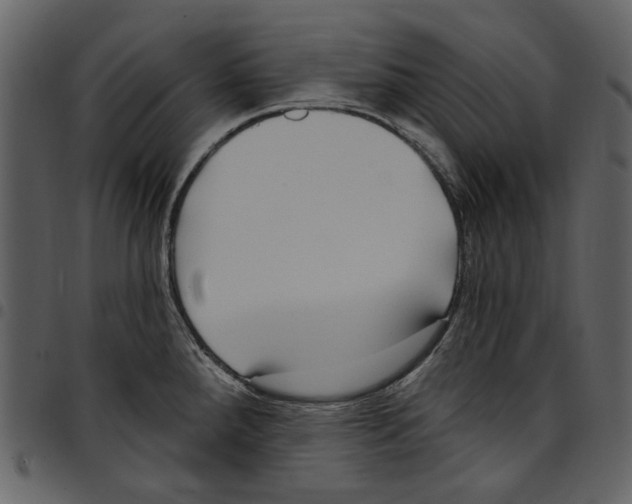 X0000097511288200803201607