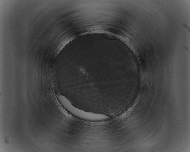 X0000097511289200803201607