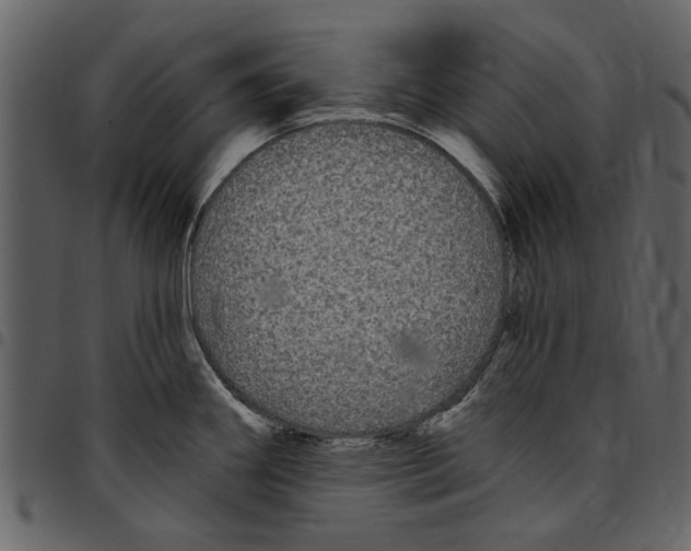 X0000097511290200803201607