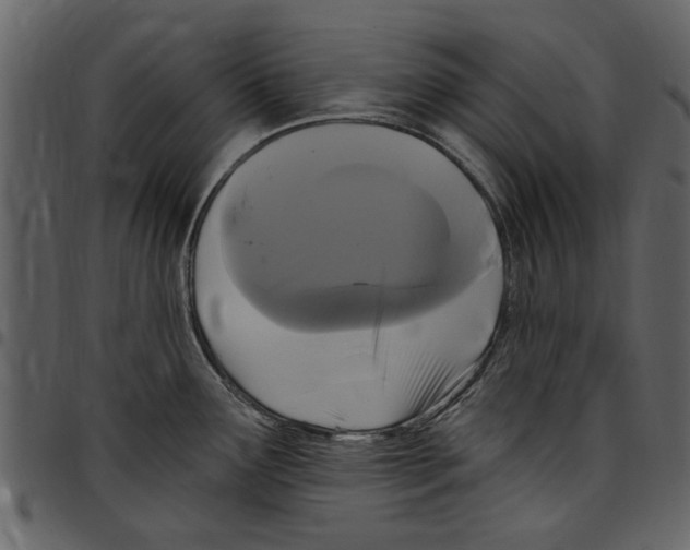 X0000097511291200803201607