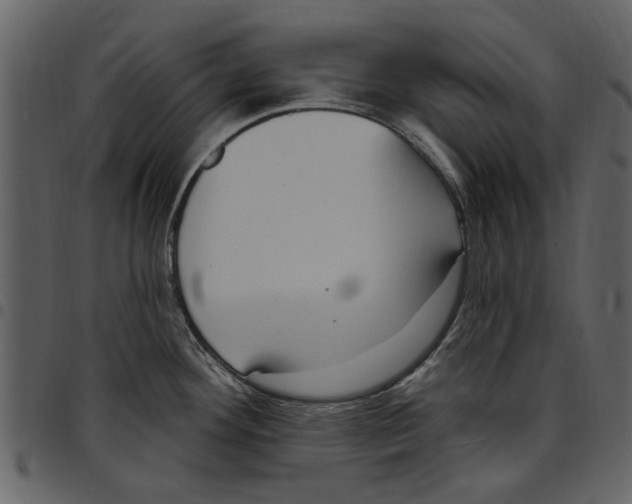 X0000097511292200803201607