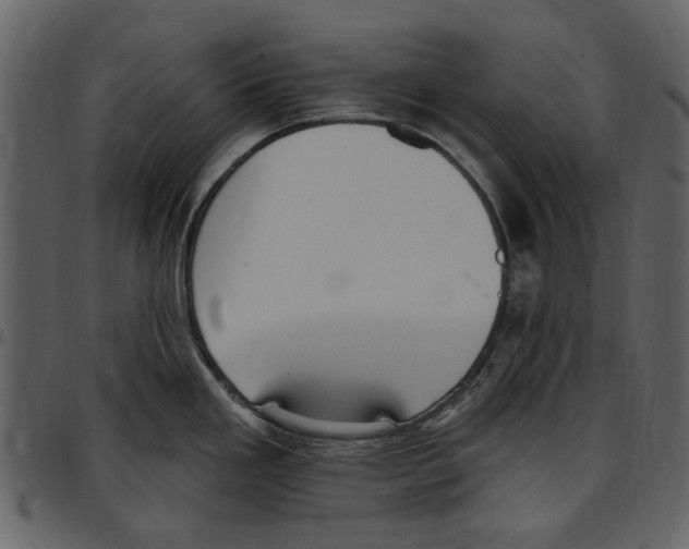 X0000097511293200803201607