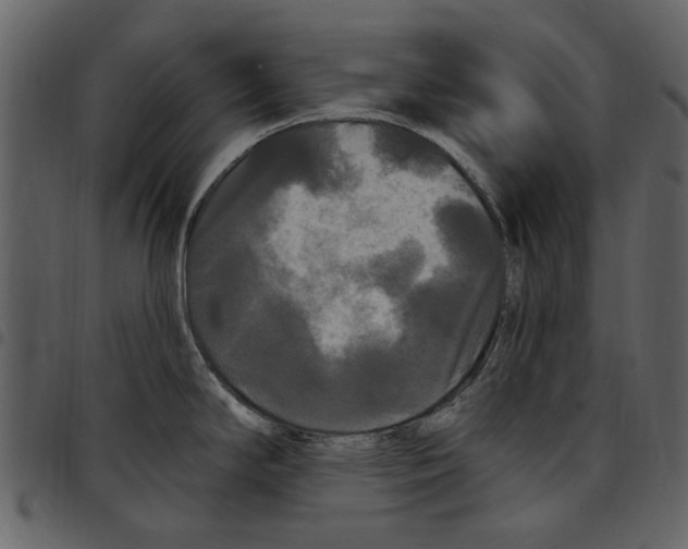 X0000097511294200803201607
