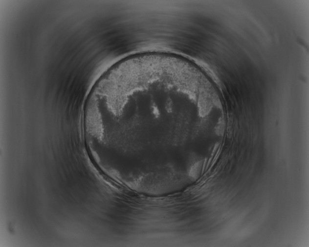 X0000097511295200803201607