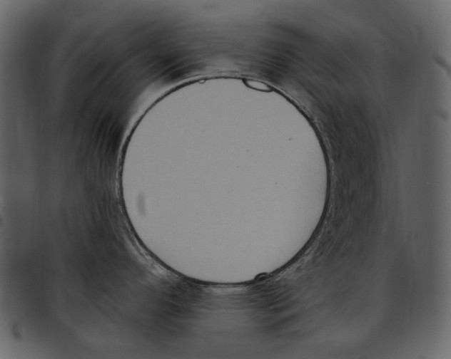 X0000097511296200803201607