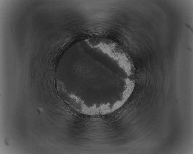 X0000097511297200803201606
