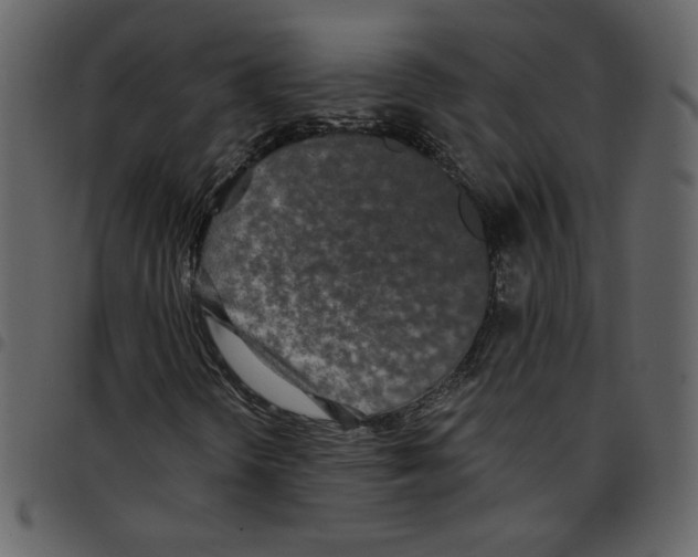 X0000097511298200803201606