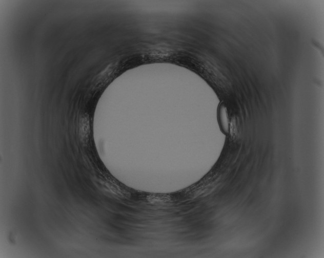 X0000097511299200803201606