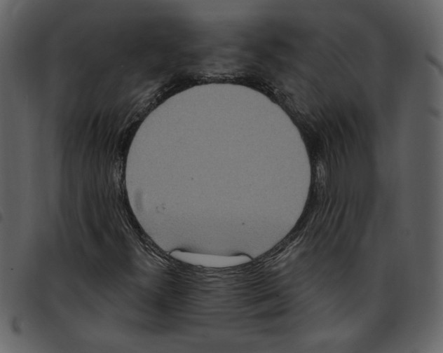 X0000097511300200803201606