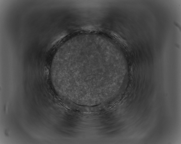 X0000097511302200803201606