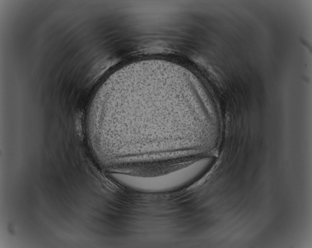 X0000097511305200803201606