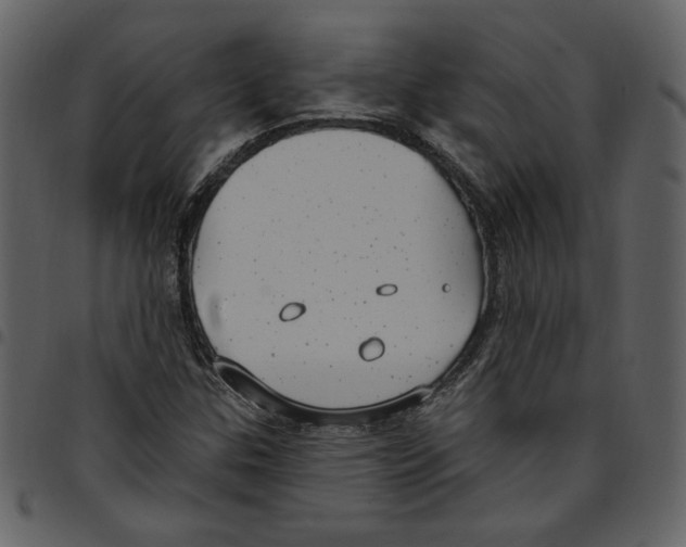 X0000097511307200803201606