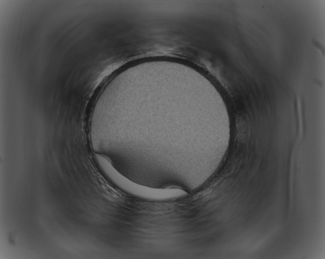 X0000097511308200803201606