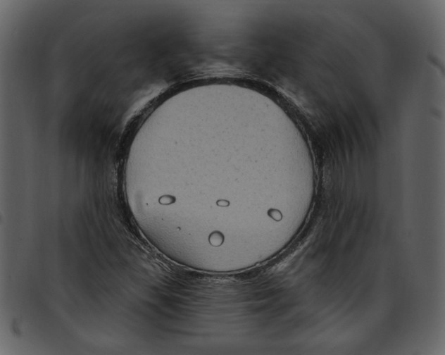 X0000097511309200803201606