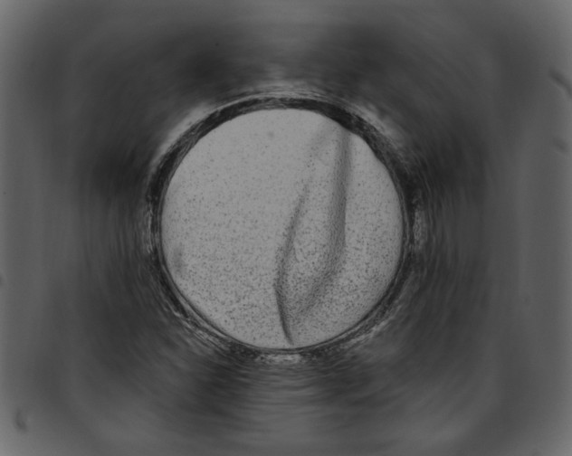 X0000097511310200803201606